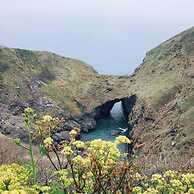 Kitty Unique 60s Caravan set in Pretty Garden