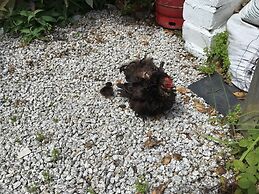 Kitty Unique 60s Caravan set in Pretty Garden