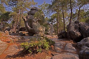 La Verrière du Baron Gréau