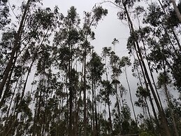 Hacienda San Isidro de Iltaqui