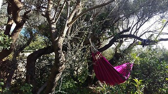 Luxury Beach Escape, Sea View Hottub,cinema Lounge