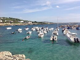 Immaculate Large House With Panoramic Views