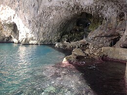 Immaculate Large House With Panoramic Views