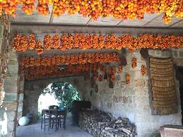 Immaculate Large House With Panoramic Views