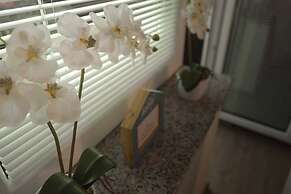 Apartments Rikli Rodine near Bled