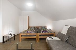 Apartments Rikli Rodine near Bled