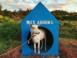N0's Arrow