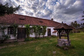 Count Kalnoky's Transylvanian Guesthouse