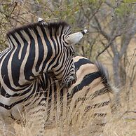 Ruwa River Herbal Clinic & All-Inclusive Oasis Spa Resort