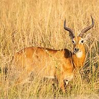 Ruwa River Herbal Clinic & All-Inclusive Oasis Spa Resort