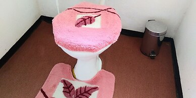 Ruwa River Herbal Clinic & All-Inclusive Oasis Spa Resort