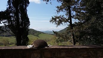 Agriturismo Alle Rose