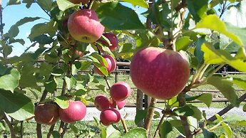 Agriturismo Alle Rose