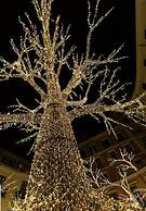 Oasi Al Centro con Parcheggio