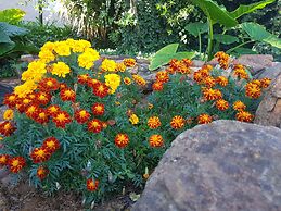 Mountain View Country Estate