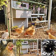 Old Hall Country Breaks