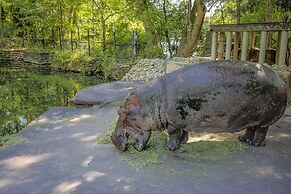 SASSA Boutique Homes