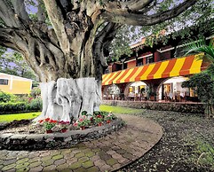 Hotel Posada San Angelo