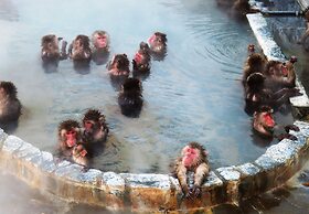 Tokyu Stay Hakodate Asaichi Akarinoyu