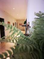 Green Olive Panorama