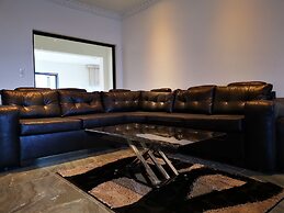 Green Olive Panorama