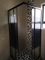 Green Olive Panorama