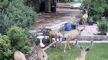 3bdmid-century Modernhot Tub, Grill, Close to DT