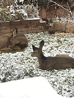 3bdmid-century Modernhot Tub, Grill, Close to DT