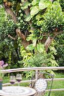 4 Bedroom Villa TG39 on Beach Front Resort SDV285-By Samui Dream Villa