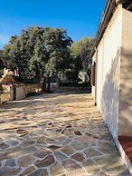 Fantastico San Teodoro Fraili LUC01