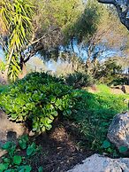 Fantastico San Teodoro Fraili LUC01