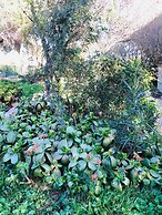 Fantastico San Teodoro Fraili LUC01