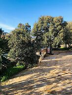 Fantastico San Teodoro Fraili LUC01