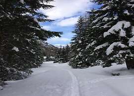 Heavenly Apartment in Wängle Tyrol near Walking Trails