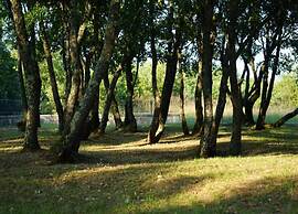 Holiday Home Het Boerderijtje With Trampoline