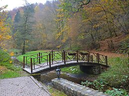 Magnificent Manor in Vresse-sur-semois With Sauna