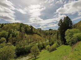Magnificent Manor in Vresse-sur-semois With Sauna