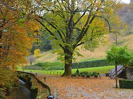 Magnificent Manor in Vresse-sur-semois With Sauna