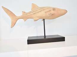 Apartment in De Haan Near the Seabeach