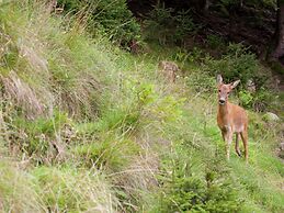 Apartment With Balcony in Brixen in Thale, Tyrol