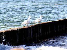 Idyllische Ferienwohnung in Rerik am Meer Gelegen