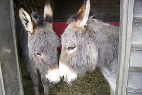 Apartment for Sixteen Person With Sauna