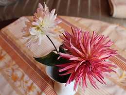 Moderne Ferienwohnung in Kuehlungsborn im Gruenen