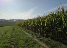 Comfortable Spa Town Home