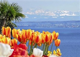 Spacious Apartment near Lake Constance with Covered Balcony
