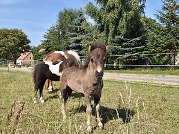 Stylish Holiday Home in Detershagen With Garden