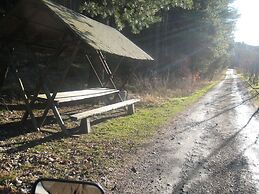 Cozy Holiday Home in Vogtland