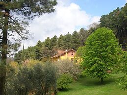 Modern Holiday Home in Pescia Tuscany