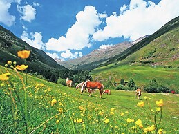 Modern Flat in Langenfeld Near ski Area
