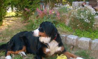 Schones Appartement am Meer in Rerik